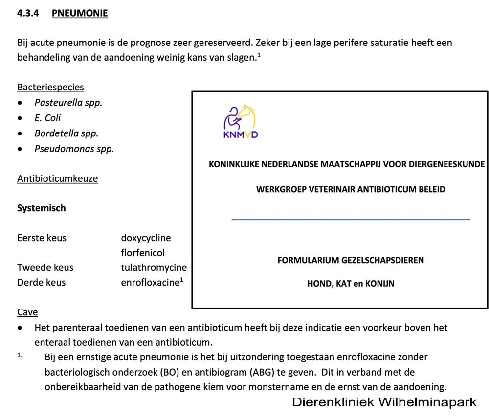 Het antibioticum formularium voor de hond, kat en het konijn
